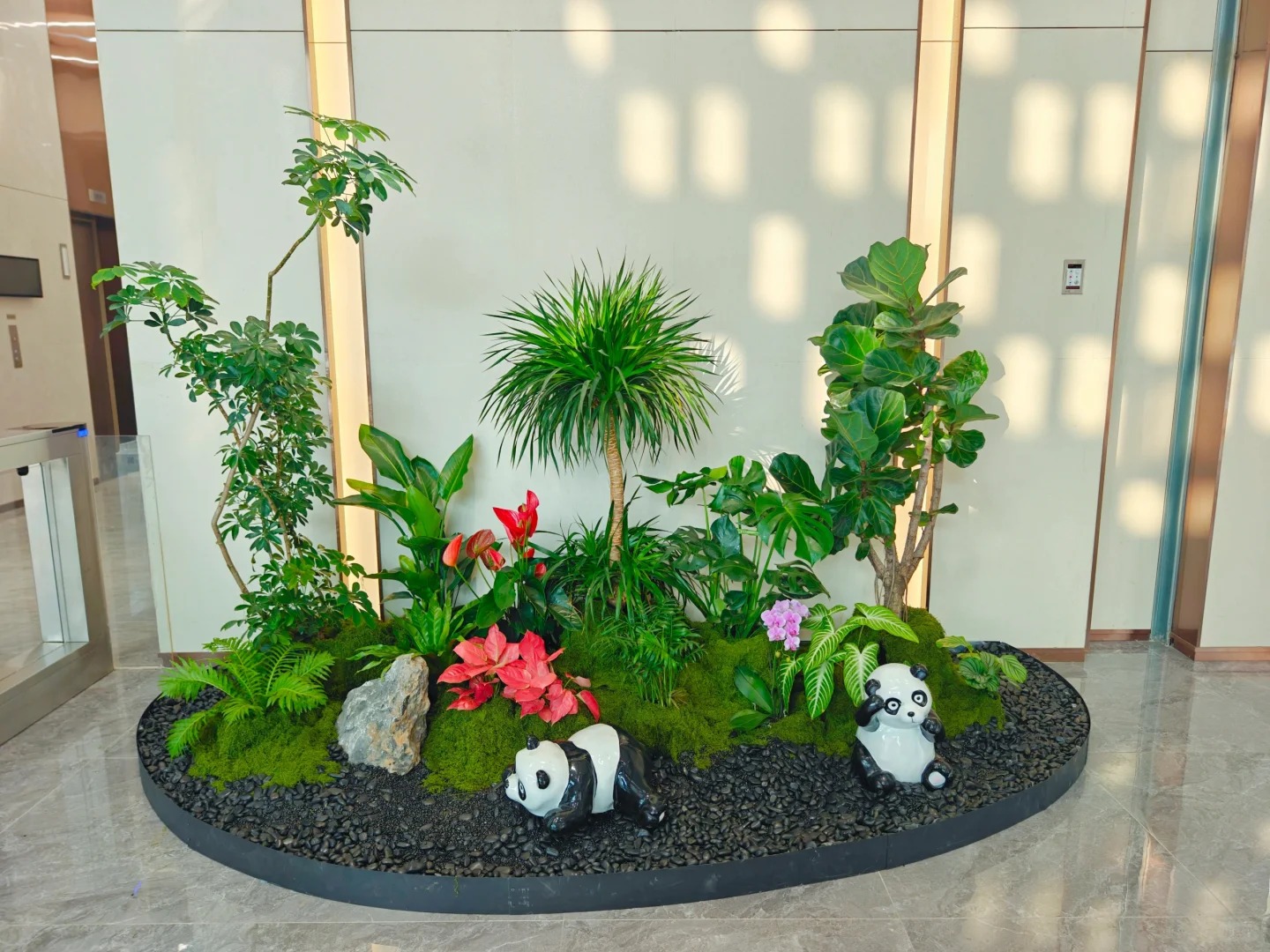 专业植物租赁，宁波海曙打造绿色空间新体验